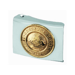 Silver Belt Buckle With Gold Symbol
