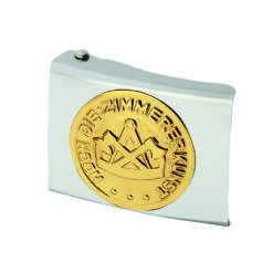 Silver Belt Buckle With Gold Symbol