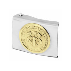Silver Belt Buckle With Gold Symbol