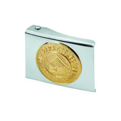 Silver Belt Buckle With Gold Symbol