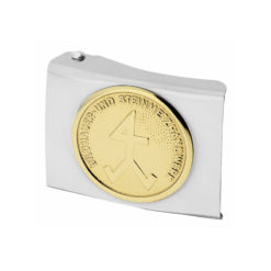 Silver Belt Buckle With Gold Symbol