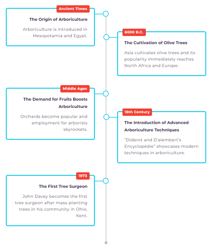 Timeline Of Arborist Appreciation Day History