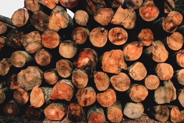 Pile Of Logs