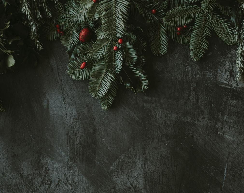 Annie Spratt 29Flgqe4Ggg Unsplash 1500