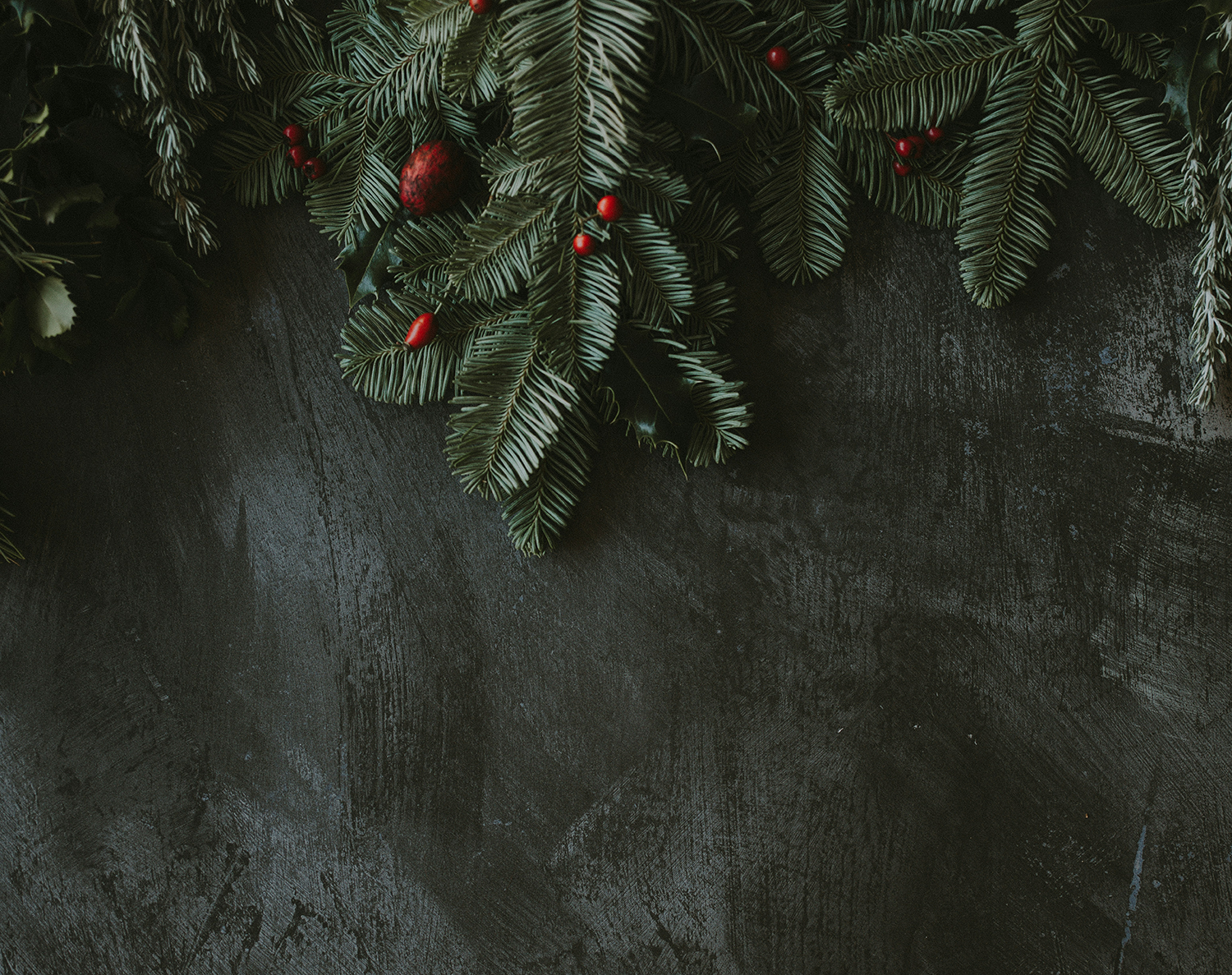 Annie Spratt 29Flgqe4Ggg Unsplash 1500